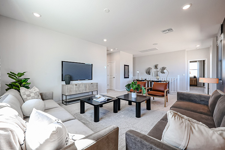 A living room with a tv and couches.