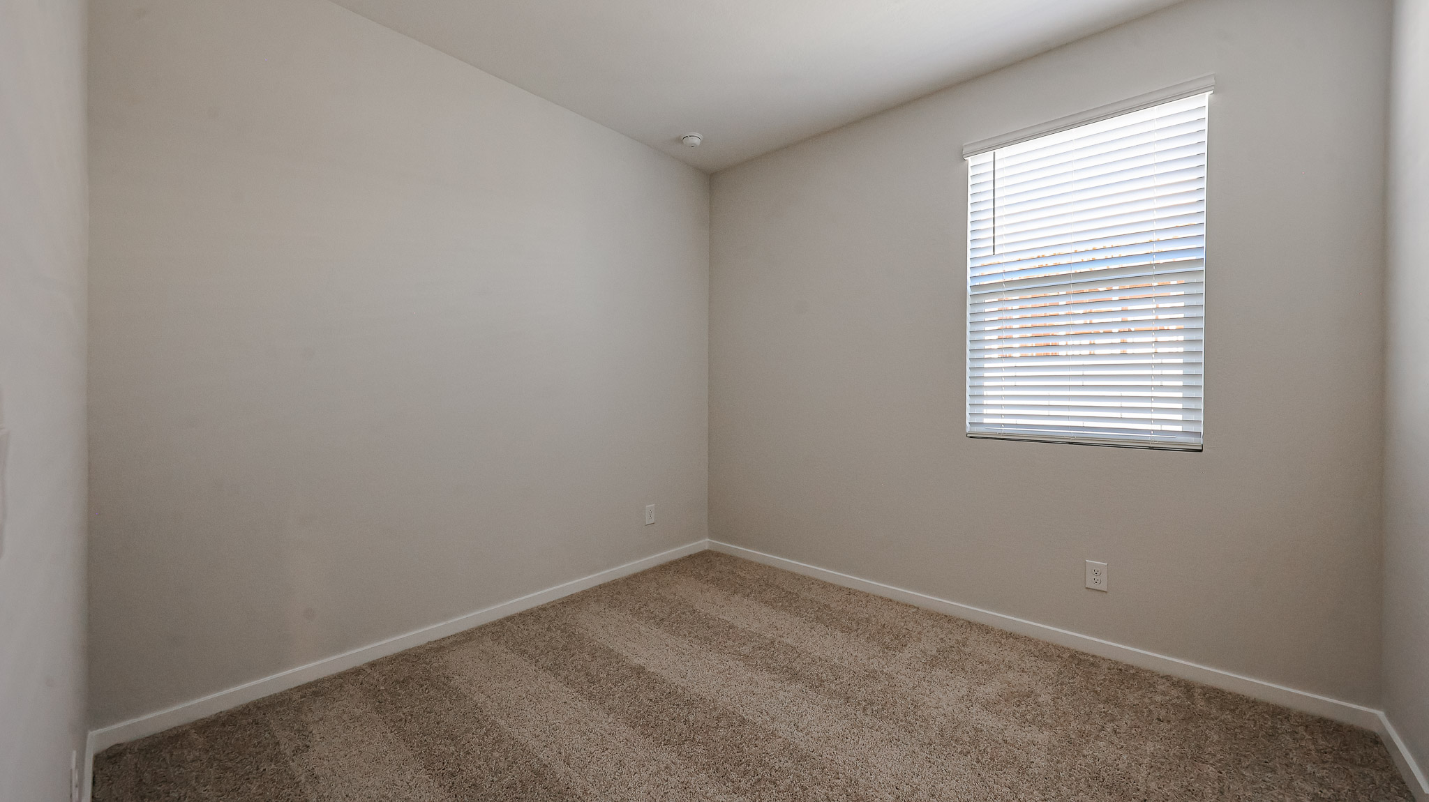 A room with a rug and a window.