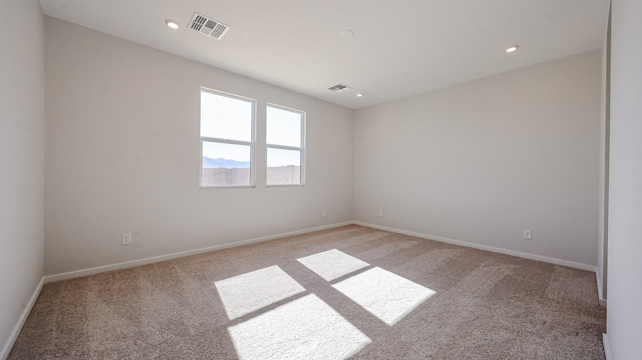 A room with a rug and windows.