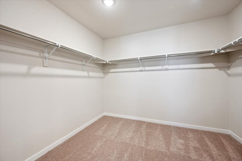 A room with a carpet and a light.